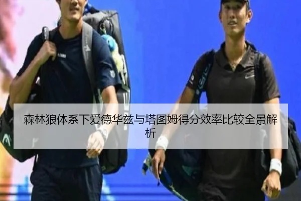 森林狼体系下爱德华兹与塔图姆得分效率比较全景解析